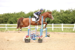 SBM_006684
