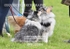 BPP_8984