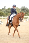 SBM_020008