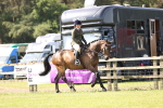 Class 75-76 LIHS BSHA Rising Star Hack Riding Horse portfolio