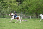 WJ6_3647