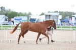 SBM_15356