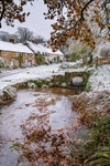 z4331 Winkle Street in the Snow