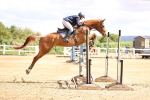 SBM_003937