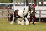 SBM_06022