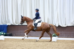 SBM_004731
