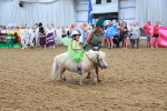 SBM_007965