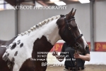 BPP_2649