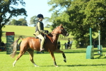 SBM_36424