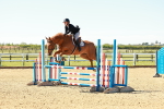 SBM_000443
