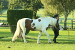 SBM_57321
