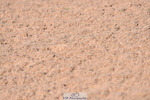 230606A-173138-00219