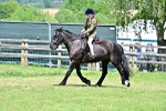 SBM_17477