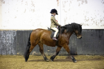 SBM_008851