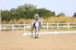 SBM_009261