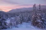 Winter's Warmth
