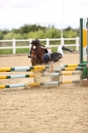 SBM_001355