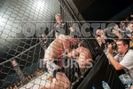Cage Fighting_2012_Bout 11-25