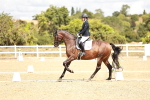 SBM_009919