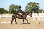 SBM_02184