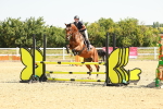 SBM_000428