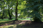 Frenchay Common FR _007