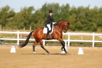 SBM_010561
