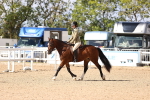 SBM_11628