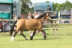 SBM_02076