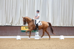 SBM_001730