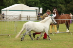 SBM_03515