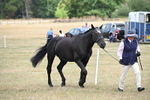 WJ6_5964