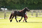 SBM_00889