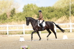 SBM_003591