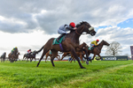 100426-Race 8-Juan Les Pins-6071