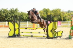 SBM_000178