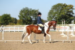 SBM_02180