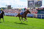 270626-Race 4-Qirat-5049