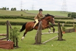 Morecambe Bay Riding Club June 2011 - Working Hunter/Jumping Ring portfolio
