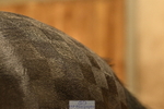 240809A-092840-00084