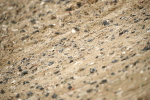 SBM_001400