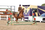 SBM_02914