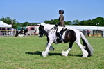 SBM_19369