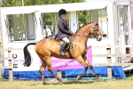 SBM_17998