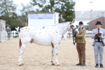 SBM_04485