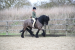 SBM_006309