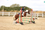 SBM_007285