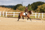 SBM_009378