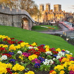 Springtime In  York