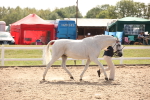 SBM_07051